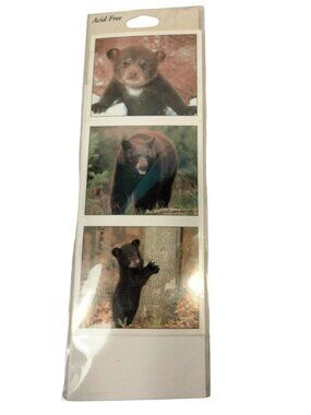 Impact Black Bear Cub 36 Stickers Cub Junk Journal Scrapbook